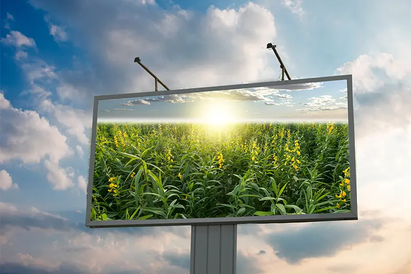 Advertising-Interactive Digital Signage